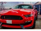 Thumbnail Photo 12 for 2016 Ford Mustang Shelby GT350 Coupe
